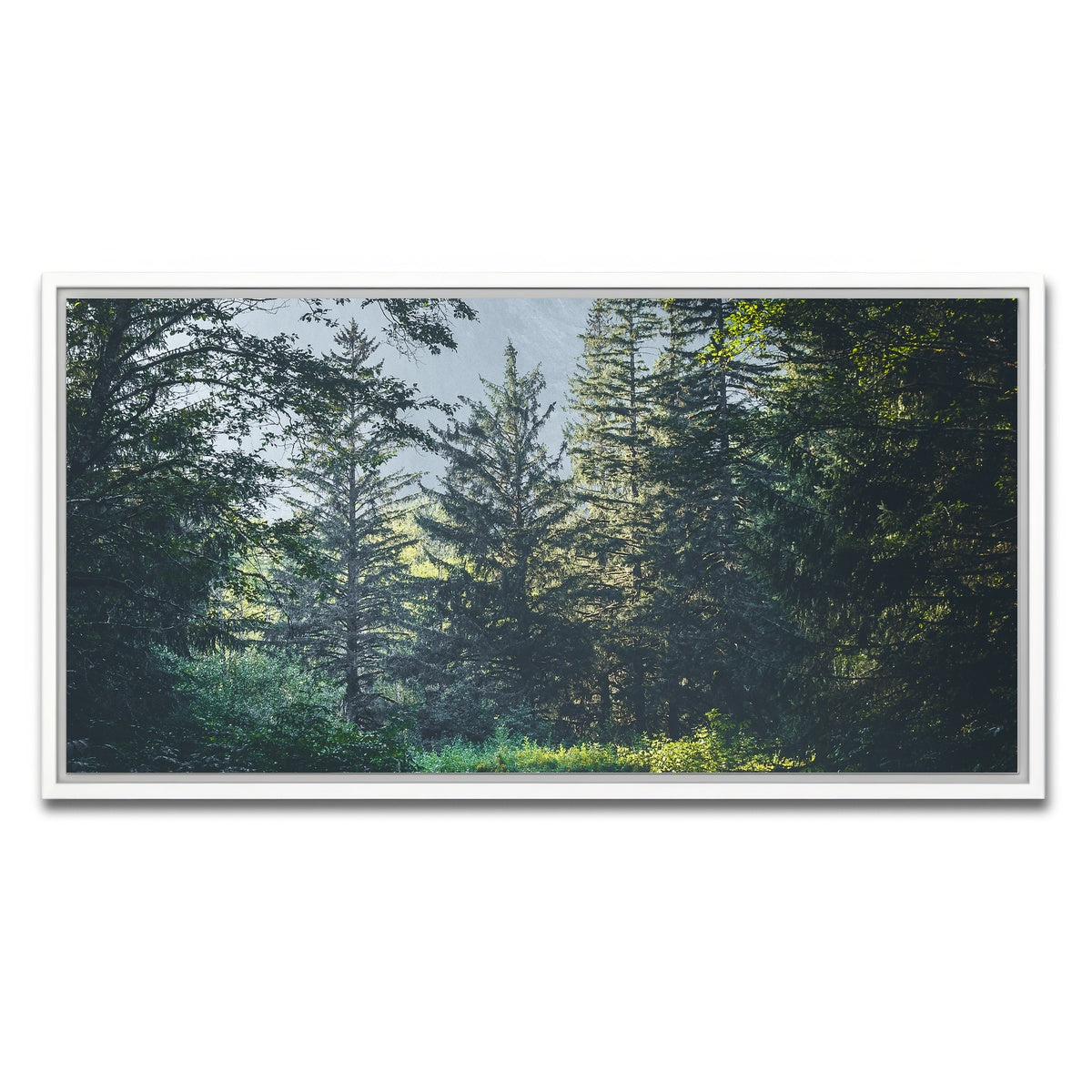 Overgrown Forest Path Wall Art