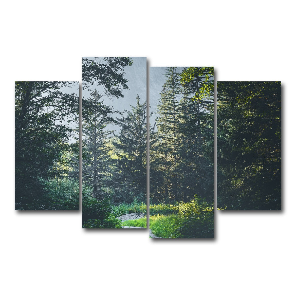 Overgrown Forest Path Wall Art