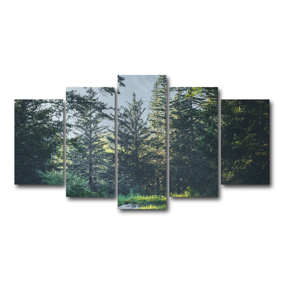 Overgrown Forest Path Wall Art