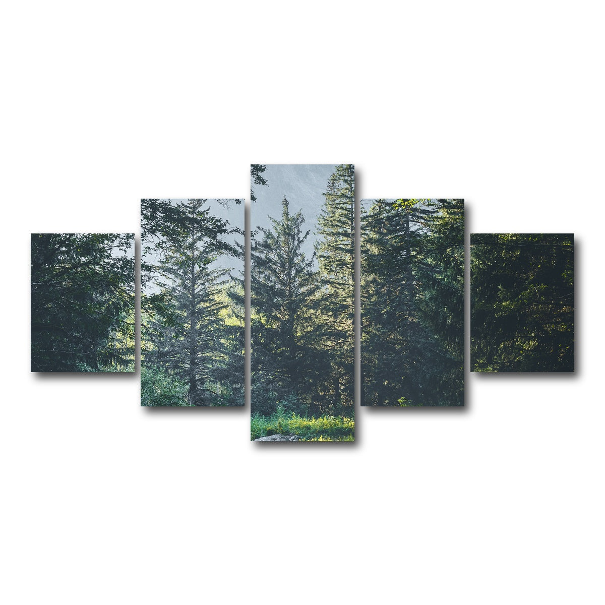 Overgrown Forest Path Wall Art
