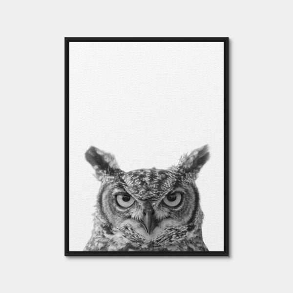 Owl Wall Art — Framed Canvas Format preview