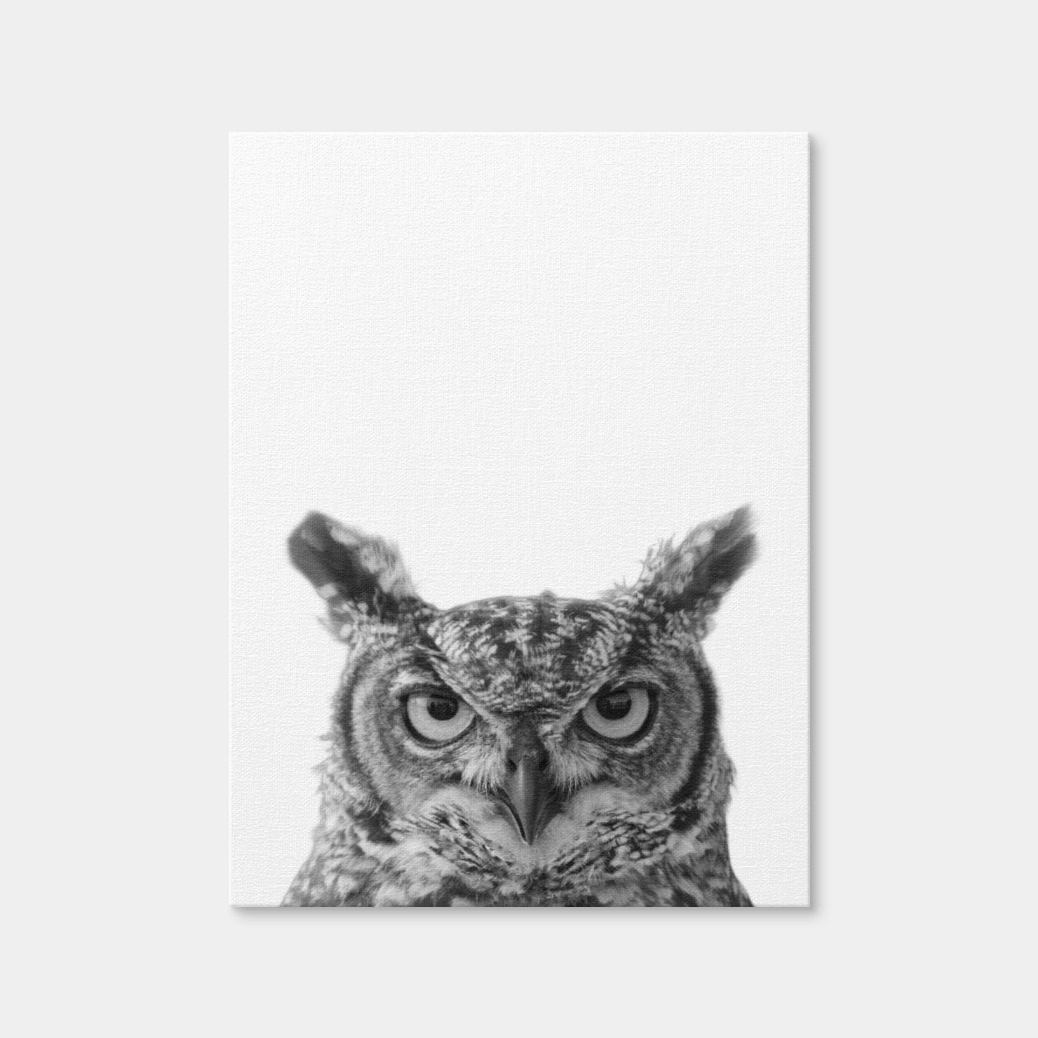 AUTO-MOCKUP WHITE | Owl | 1 Piece | Gallery Wrap Canvas | group=3x4