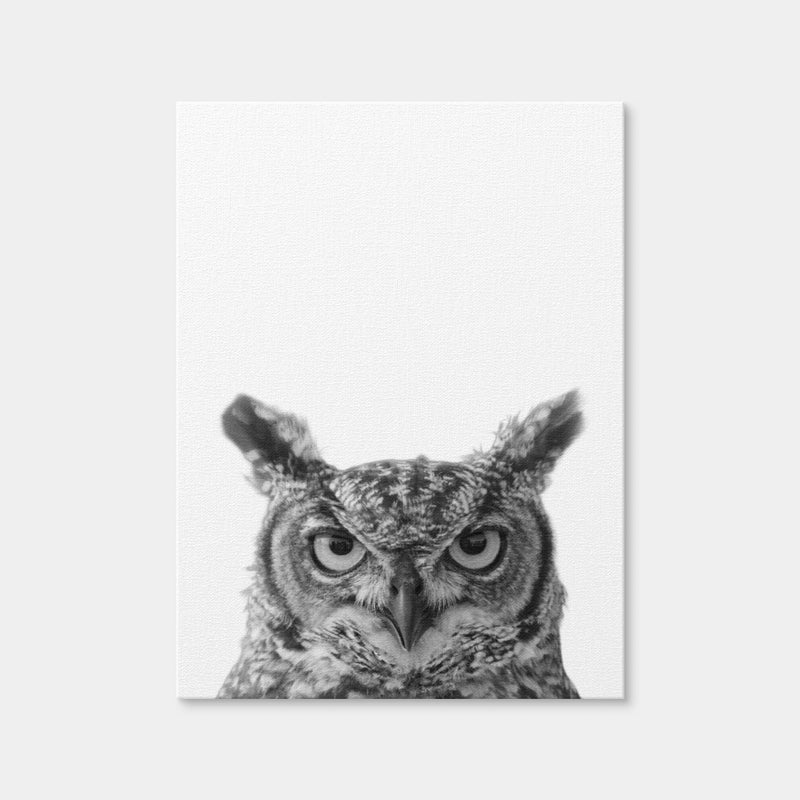 AUTO-MOCKUP WHITE | Owl | 1 Piece | Gallery Wrap Canvas | group=3x4