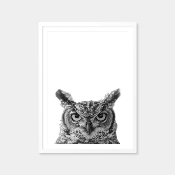 Owl Wall Art — Framed Print Format preview