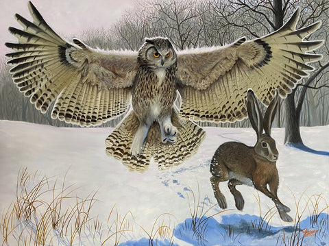 Owl on the Hunt Wall Art