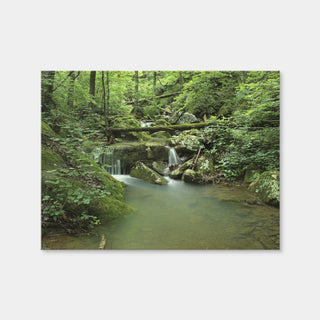 AUTO-MOCKUP WHITE | Ozark National Forest | 1 Piece | Gallery Wrap Canvas | group=4x3