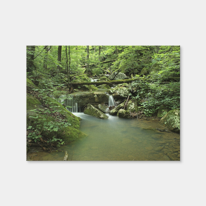 AUTO-MOCKUP WHITE | Ozark National Forest | 1 Piece | Gallery Wrap Canvas | group=4x3