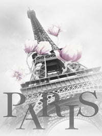 PARIS Magnolia Eiffel Tower Wall Art