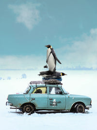 PENGUIN MAPS Wall Art