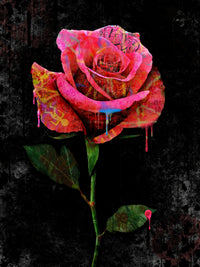 Paint Drip Rose Wall Art