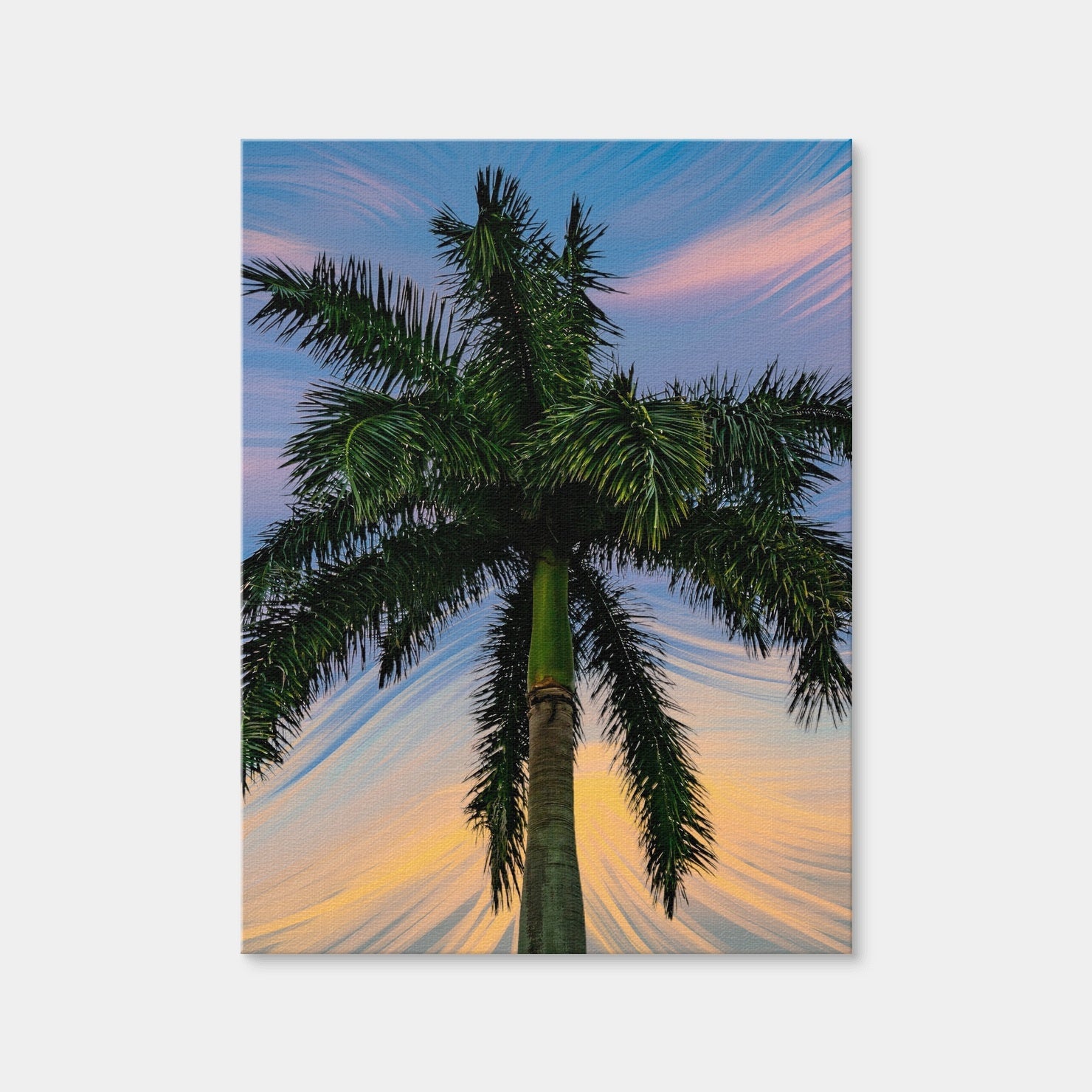 AUTO-MOCKUP WHITE | Painted Palm Tree | 1 Piece | Gallery Wrap Canvas | group=3x4