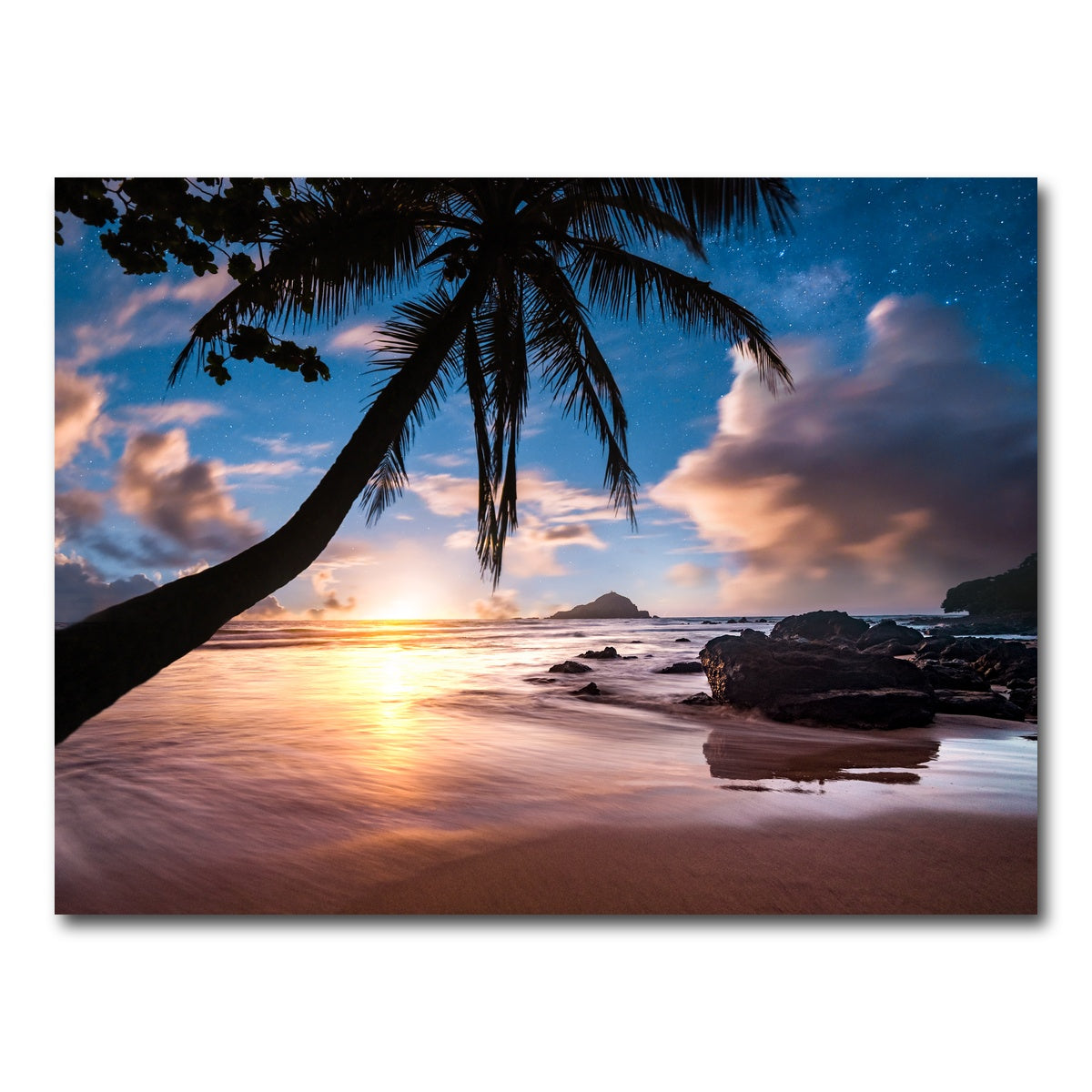 AUTO-MOCKUP WHITE | Palm Tree Beach | 1 Piece | Gallery Wrap Canvas | group=4x3