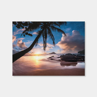 AUTO-MOCKUP WHITE | Palm Tree Beach | 1 Piece | Gallery Wrap | group=4x3