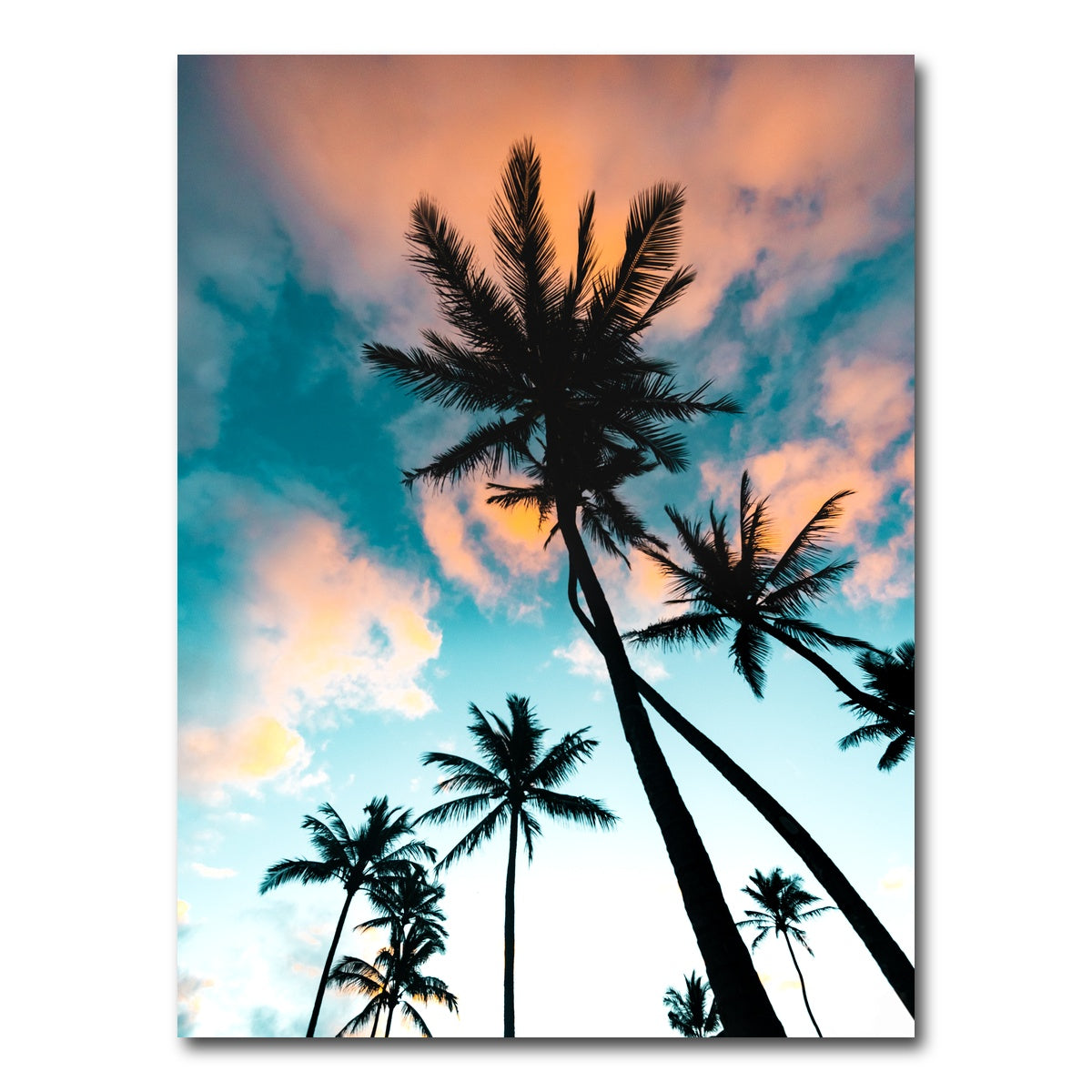 AUTO-MOCKUP WHITE | Palm Tree Sunrise | 1 Piece | Gallery Wrap Canvas | group=3x4