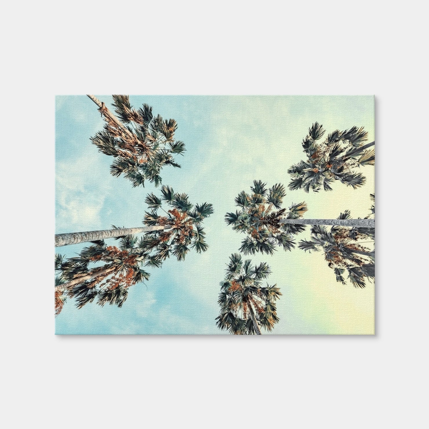 AUTO-MOCKUP WHITE | Palm Trees Blue Sky | 1 Piece | Gallery Wrap | group=4x3