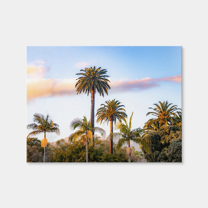 AUTO-MOCKUP WHITE | Palm Trees | 1 Piece | Gallery Wrap Canvas | group=4x3