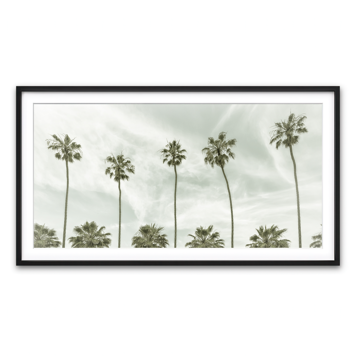 Palm Trees and Clouds Wall Art