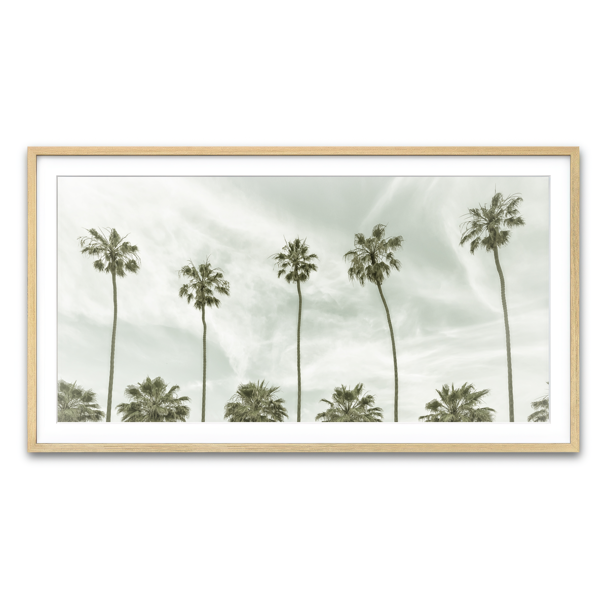 Palm Trees and Clouds Wall Art