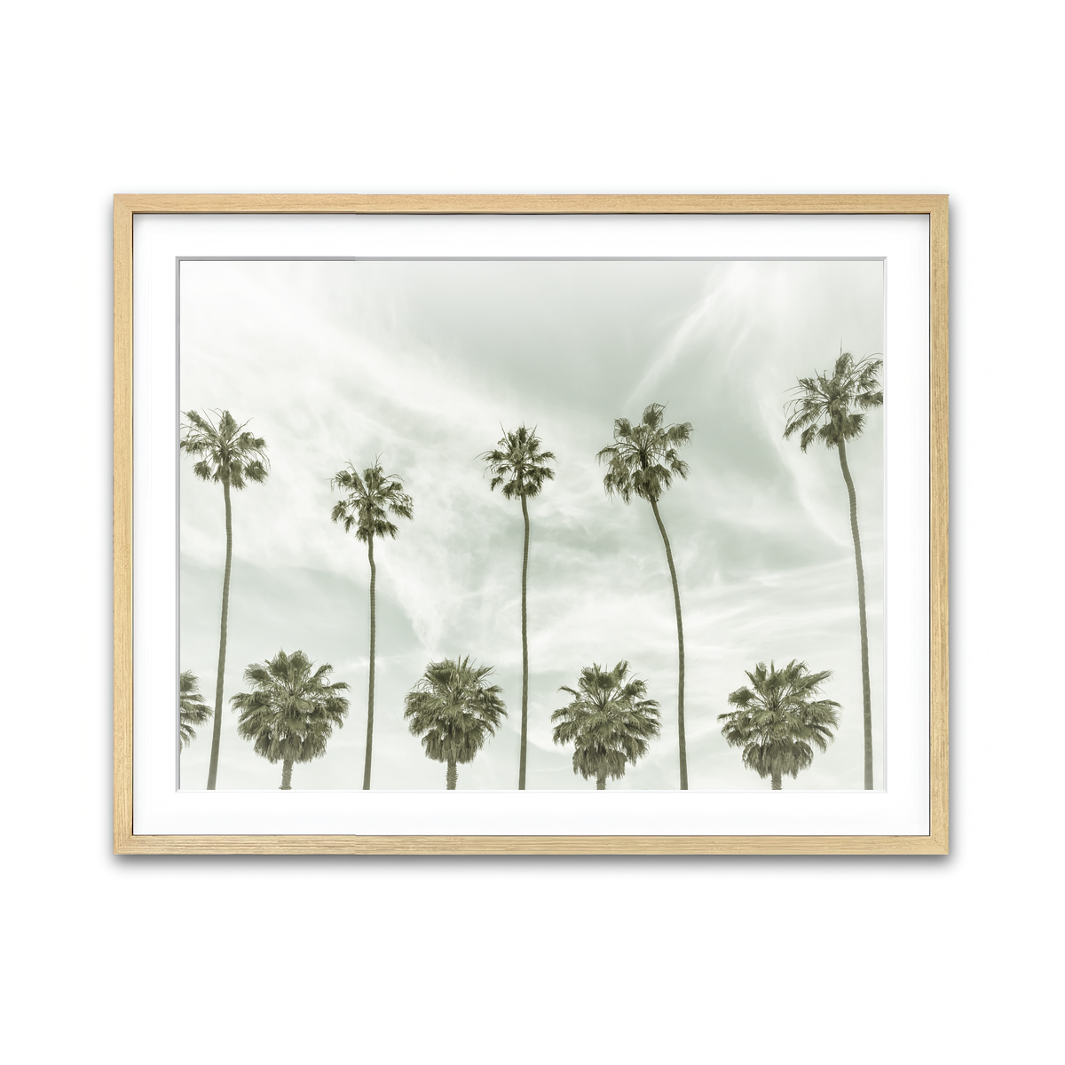Palm Trees and Clouds Wall Art