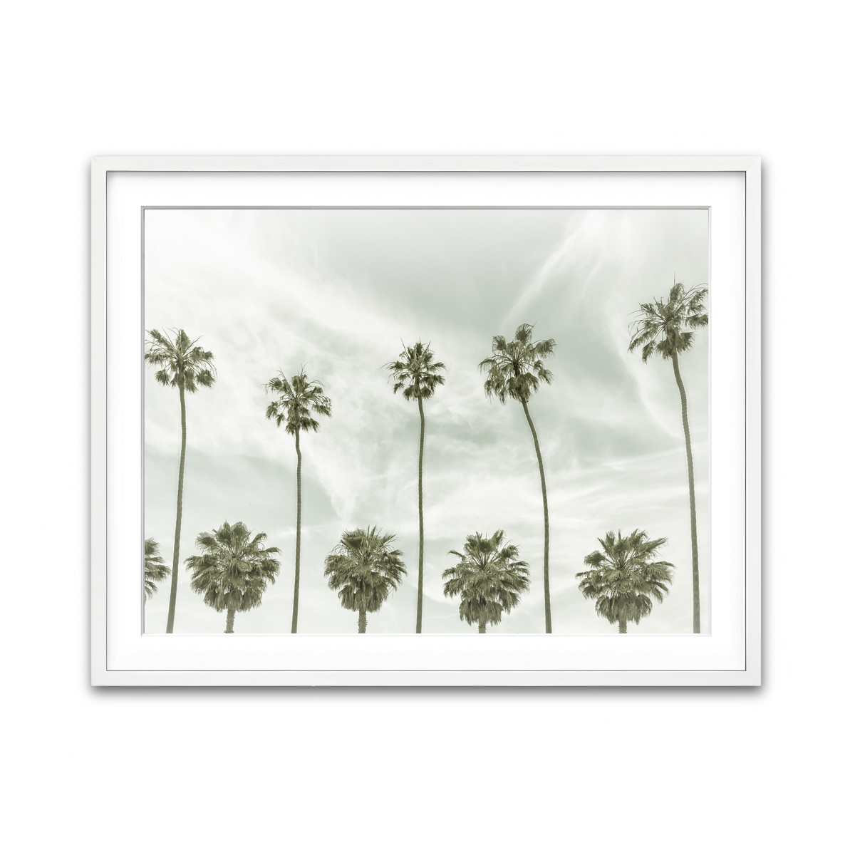 Palm Trees and Clouds Wall Art