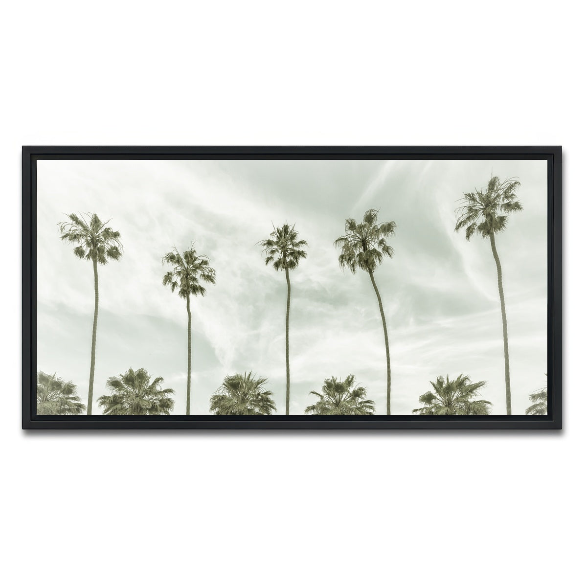 Palm Trees and Clouds Wall Art