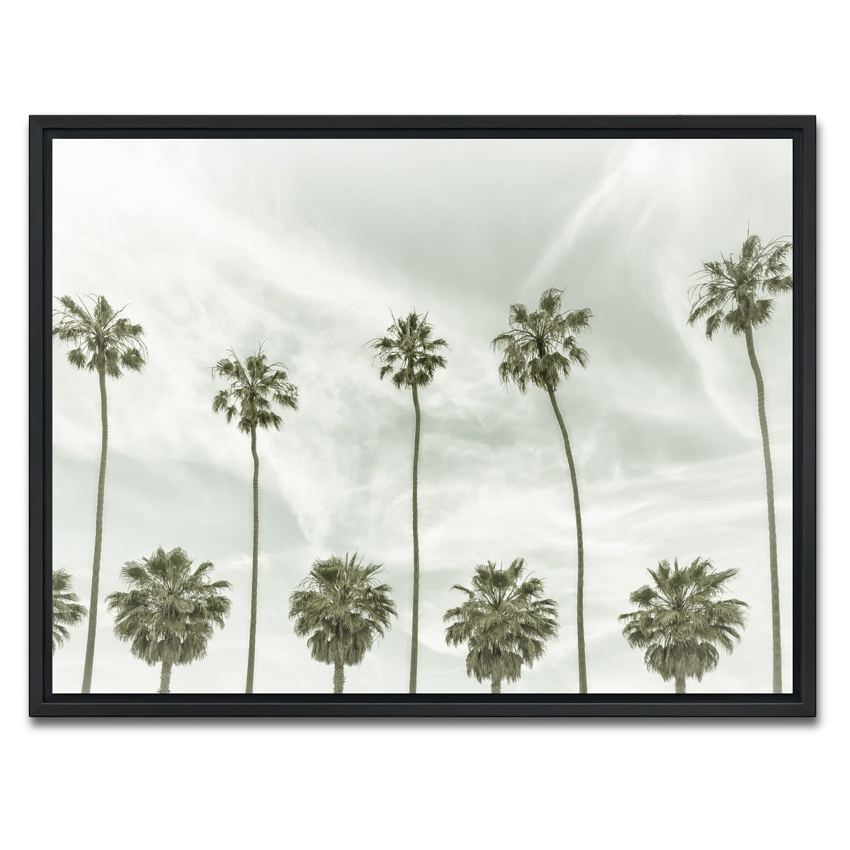 Palm Trees and Clouds Wall Art