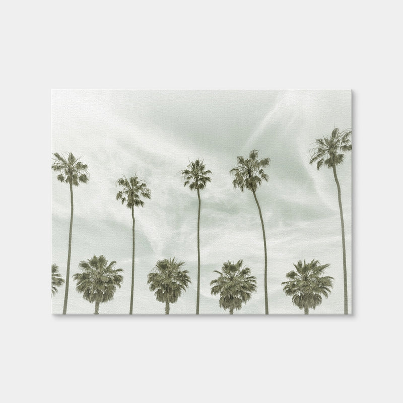 AUTO-MOCKUP WHITE | Palm Trees and Clouds | 1 Piece | Gallery Wrap | group=4x3