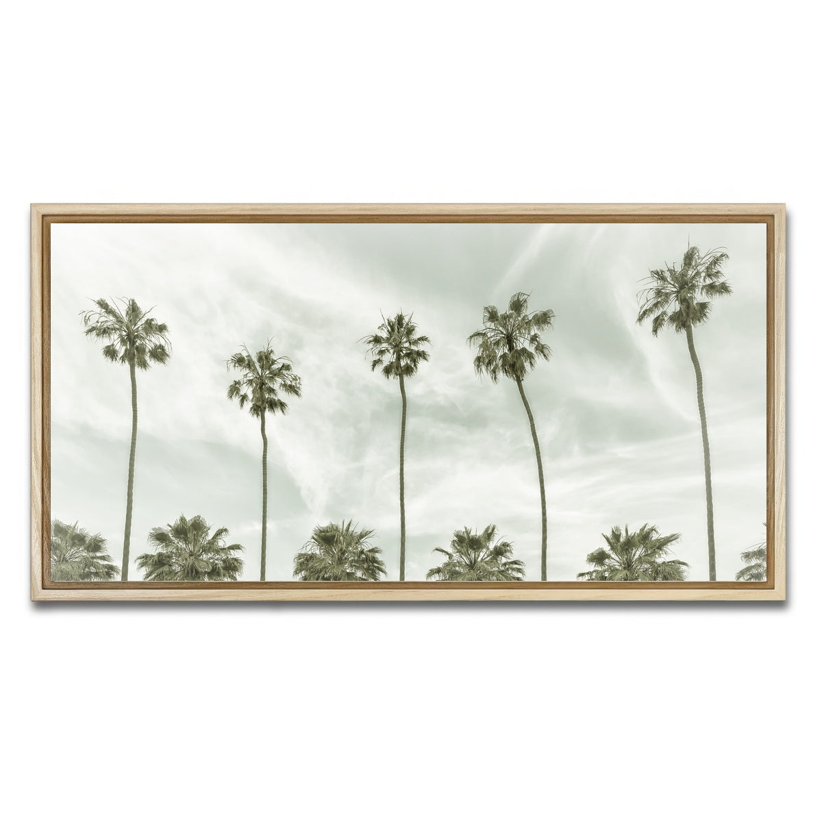 Palm Trees and Clouds Wall Art