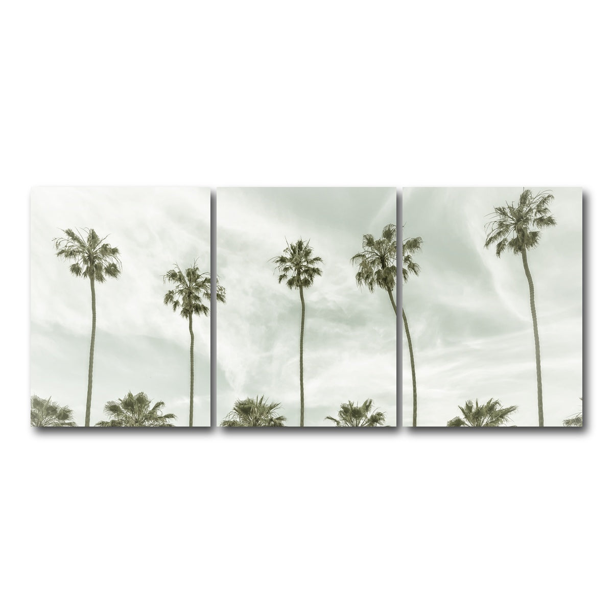 Palm Trees and Clouds Wall Art