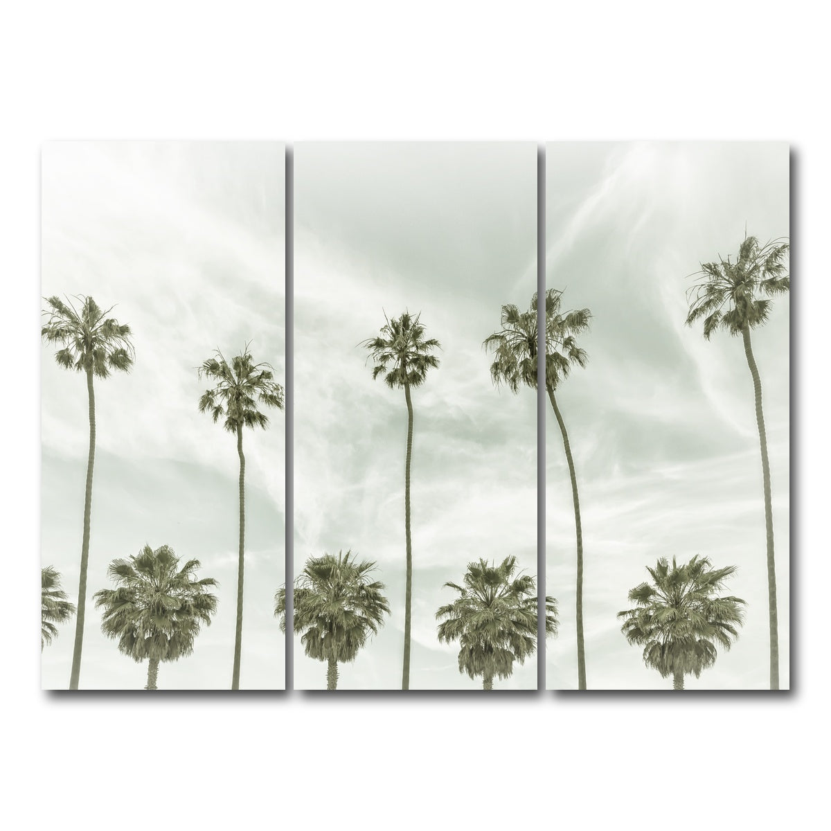 Palm Trees and Clouds Wall Art