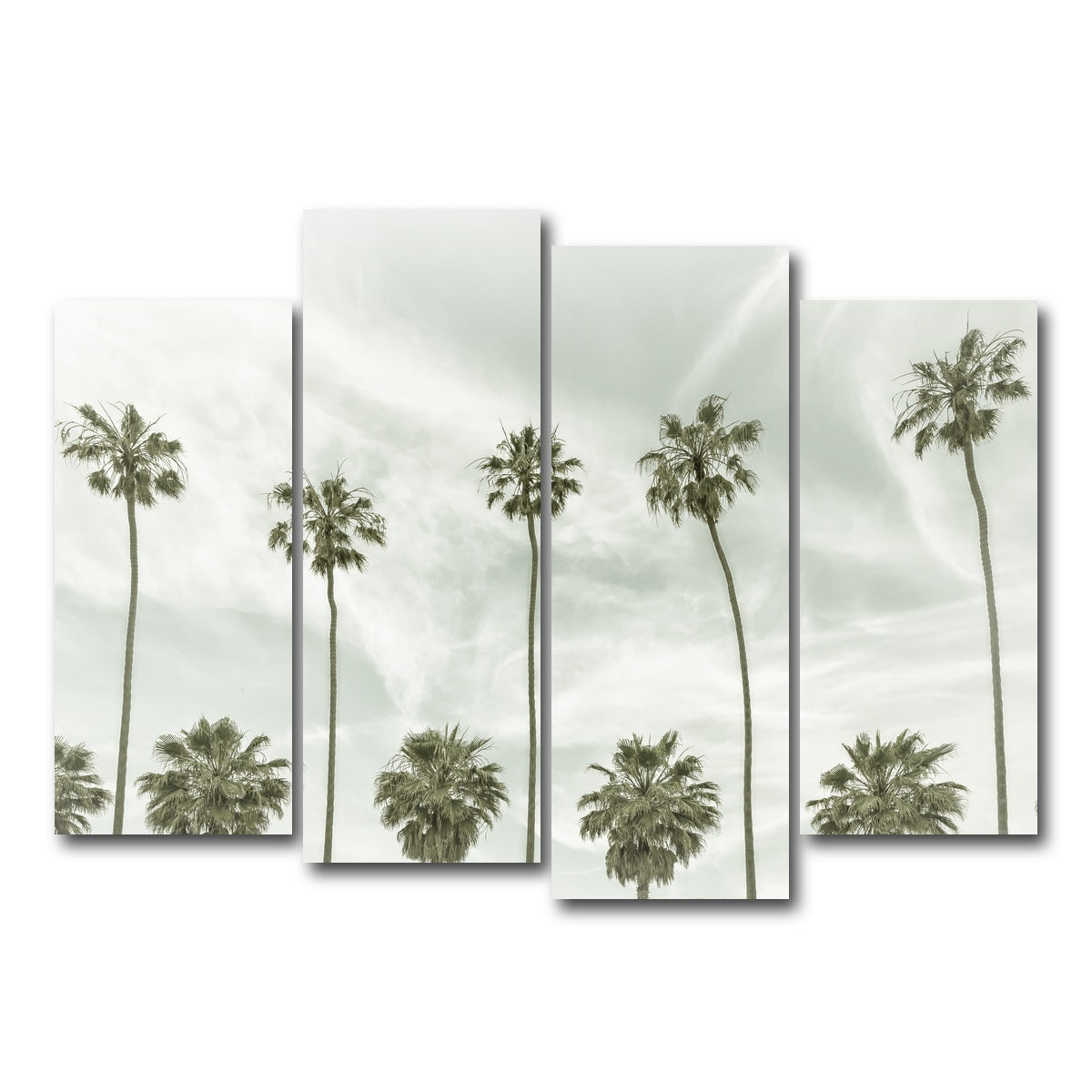 Palm Trees and Clouds Wall Art