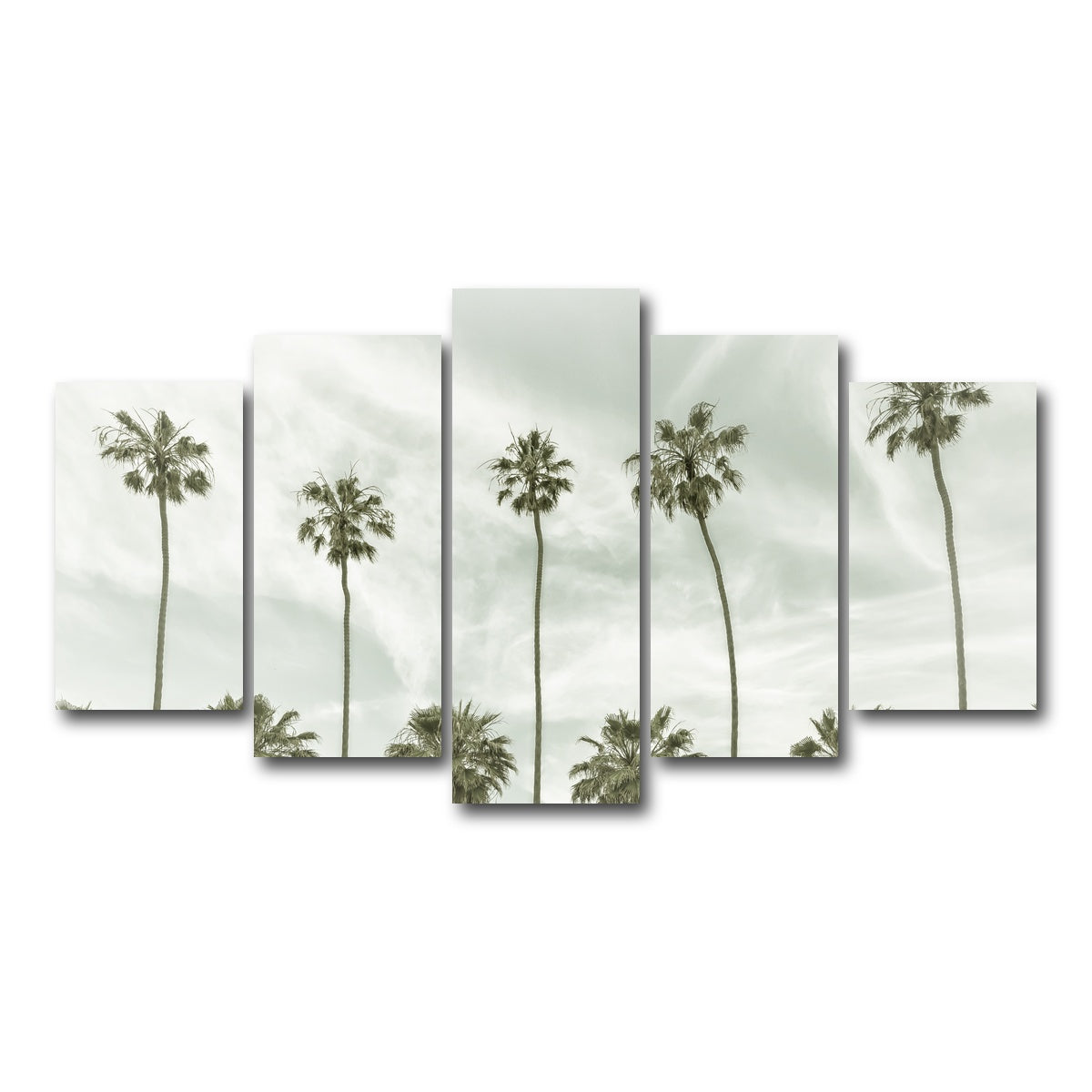 Palm Trees and Clouds Wall Art