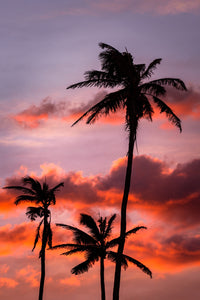 Palm Trees at Sunset Wall Art