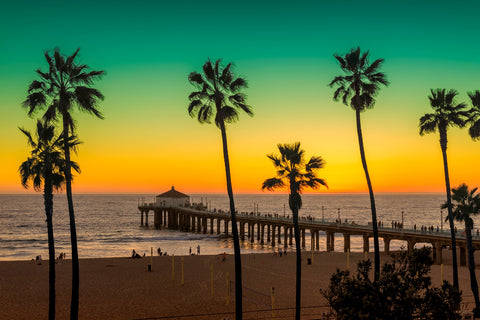 Palm trees and Pier on Manhattan Beach Wall Art