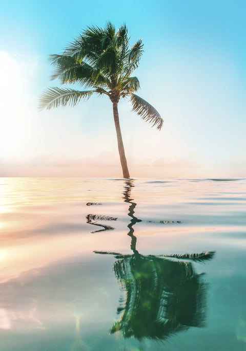 Paradise Wall Art