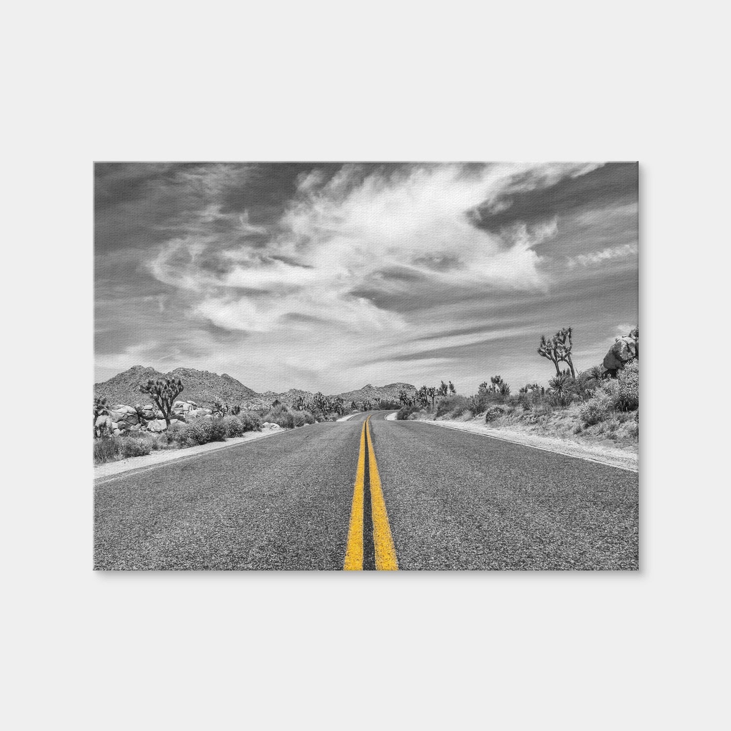 AUTO-MOCKUP WHITE | Park Boulevard with Joshua Trees | 1 Piece | Gallery Wrap Canvas | group=4x3
