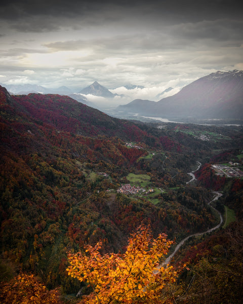 Passo Pura Autunno Wall Art