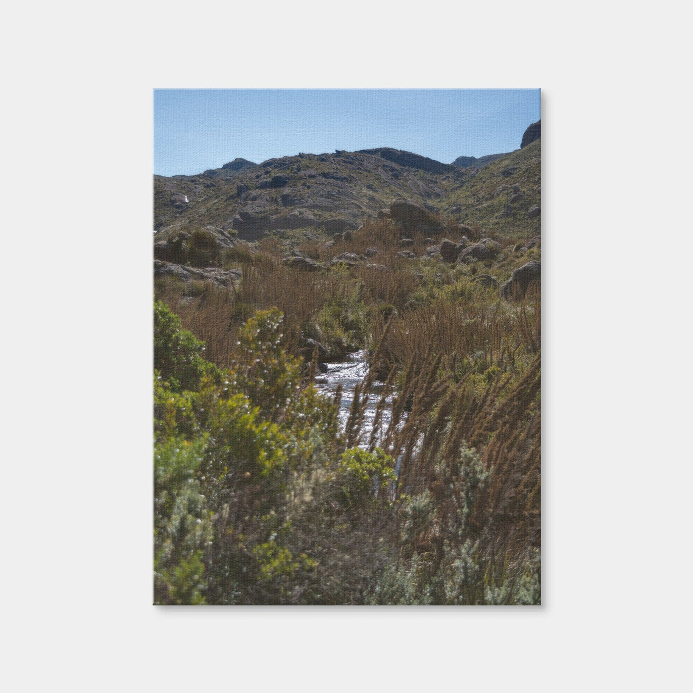 AUTO-MOCKUP WHITE | Path - Itatiaia National Park Brazil | 1 Piece | Gallery Wrap | group=3x4