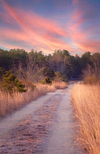 Path to the Cranberries Wall Art