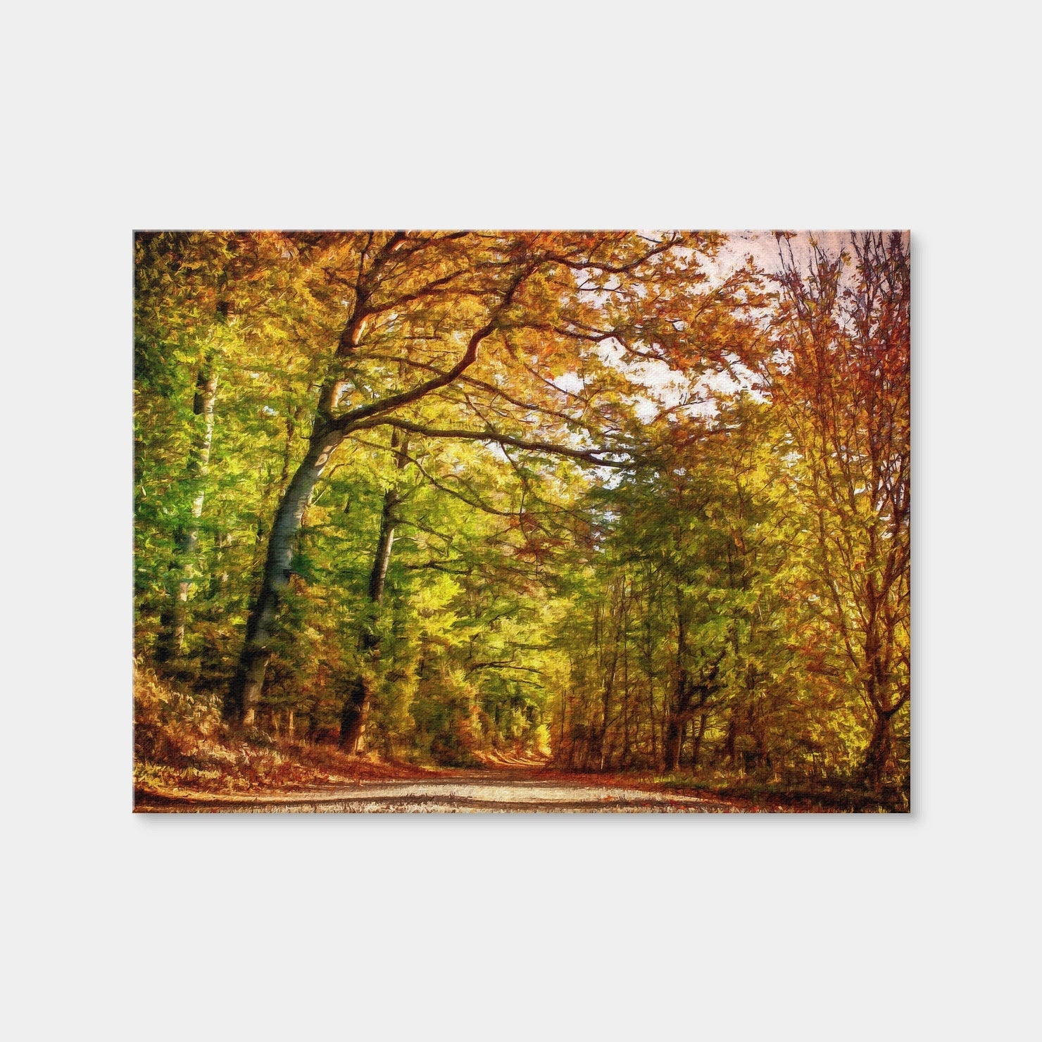 AUTO-MOCKUP WHITE | Pathway Through Autumn Leaves | 1 Piece | Gallery Wrap | group=4x3