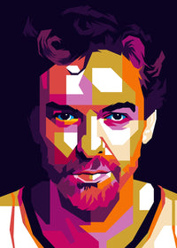 Pau Gasol Wall Art