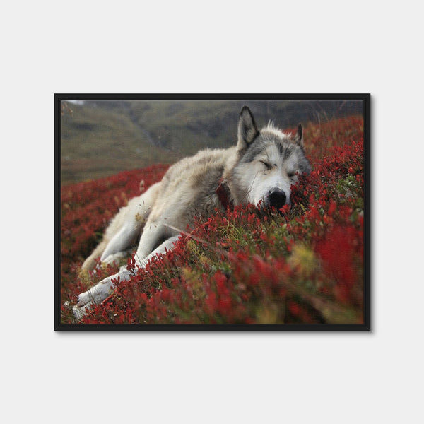 Peaceful Pup Wall Art — Framed Canvas Format preview