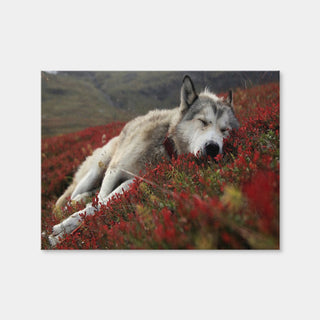 AUTO-MOCKUP WHITE | Peaceful Pup | 1 Piece | Gallery Wrap | group=4x3