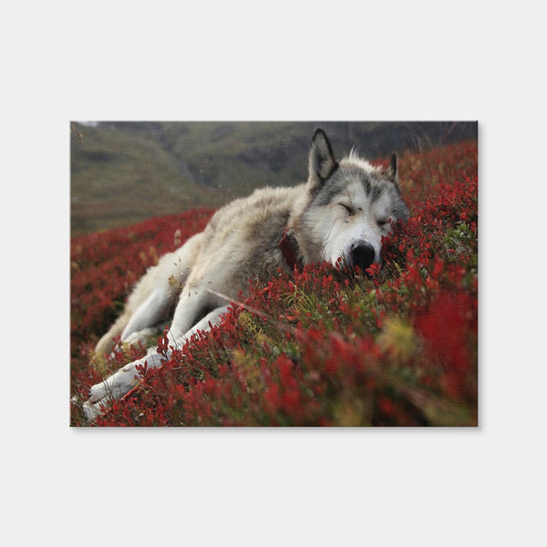 Peaceful Pup Wall Art — Canvas Wrap Format preview