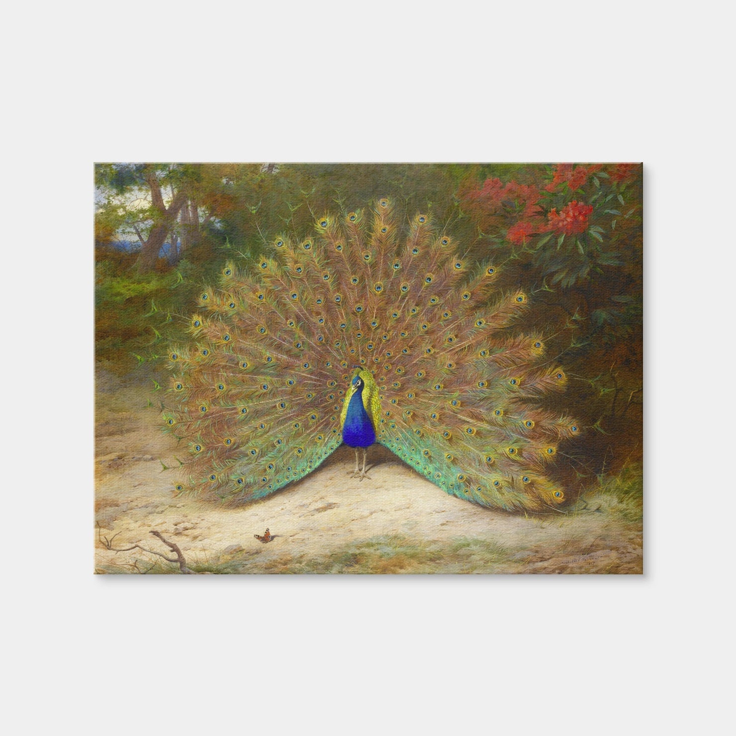 AUTO-MOCKUP WHITE | Peacock and Butterfly | 1 Piece | Gallery Wrap | group=4x3