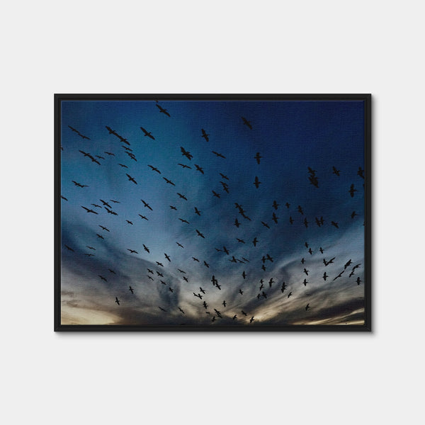 Pelican Migration Louisiana Wall Art — Framed Canvas Format preview