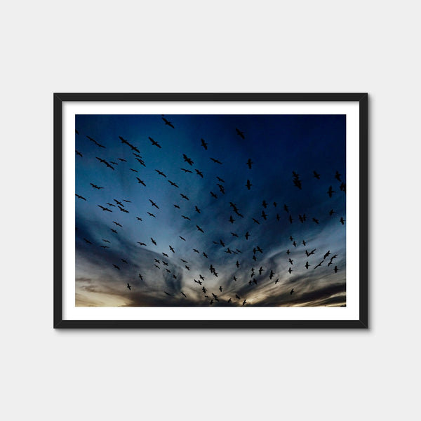Pelican Migration Louisiana Wall Art — Framed Print Format preview