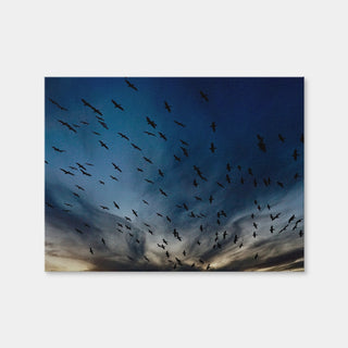 AUTO-MOCKUP WHITE | Pelican Migration Louisiana | 1 Piece | Gallery Wrap | group=4x3