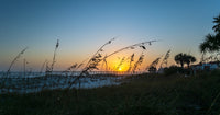 Pensacola Wall Art