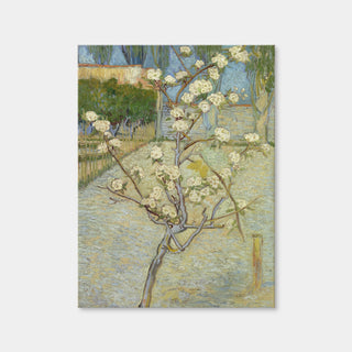 AUTO-MOCKUP WHITE | Perenboompje in bloei | 1 Piece | Gallery Wrap Canvas | group=3x4